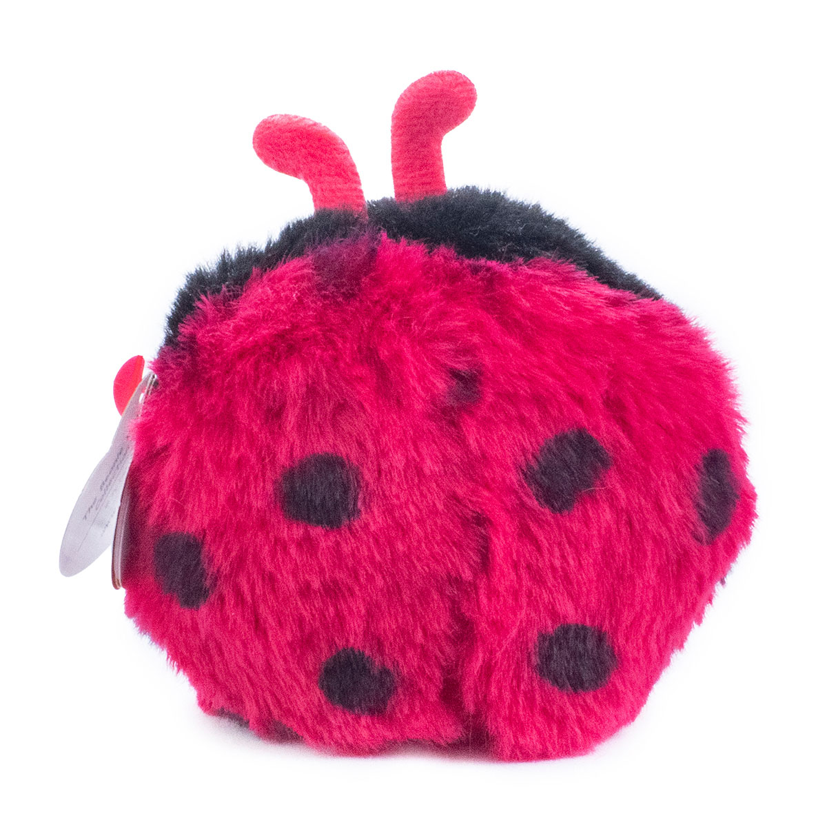 Peluche Coleccionable TY Balls Catarina image number null