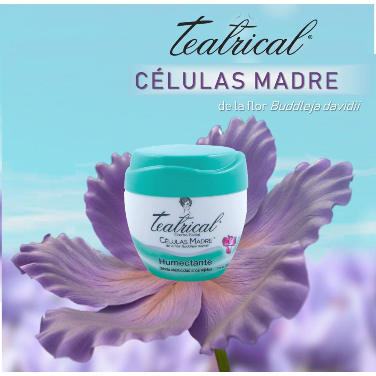 Teatrical Células Madre Humectante 100gr image number null