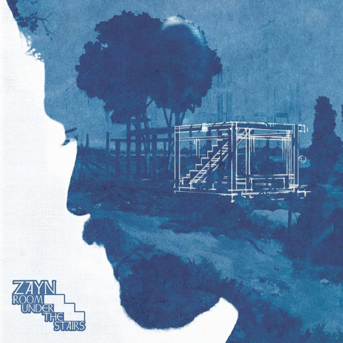 CD Zayn - Room Under The Stairs image number null