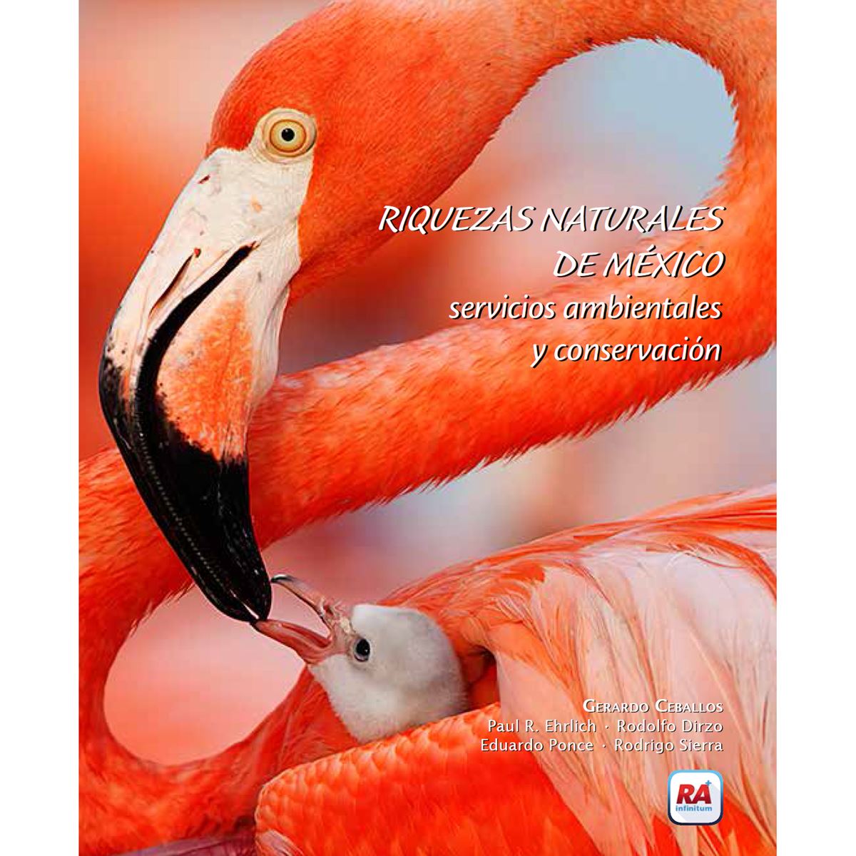 Riquezas naturales de México image number null