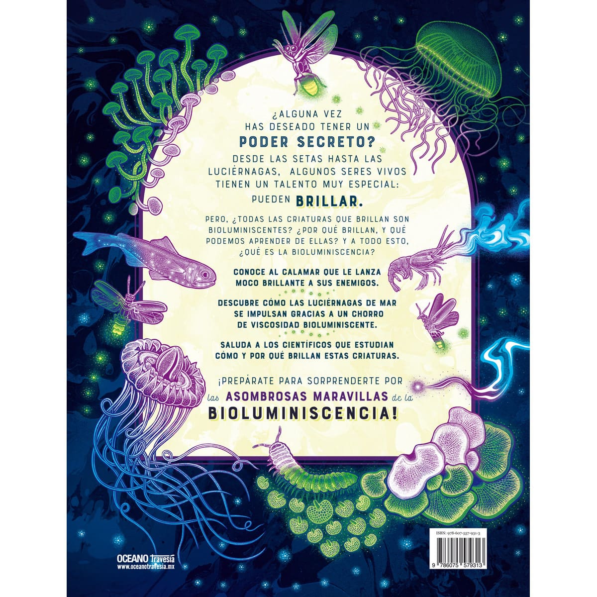 Brillo image number null