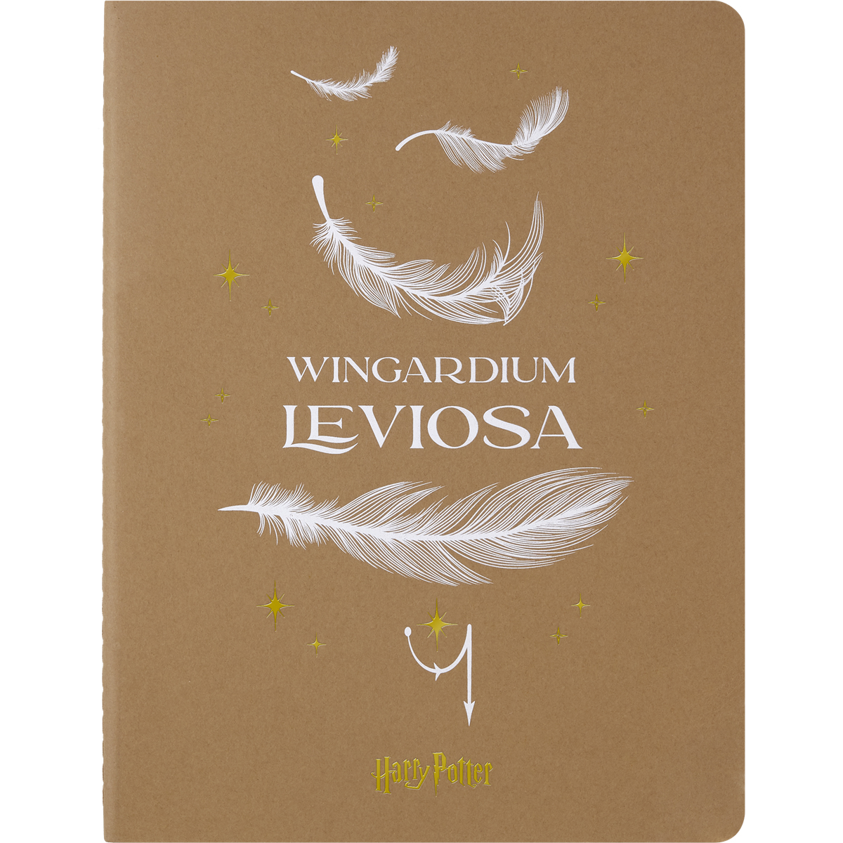 Set de 2 Libretas MOLESKINE Wingardium Leviosa Harry Potter image number null
