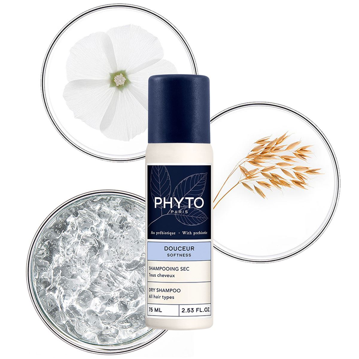 Phyto Softness Shampoo Seco Uso Frecuente image number null