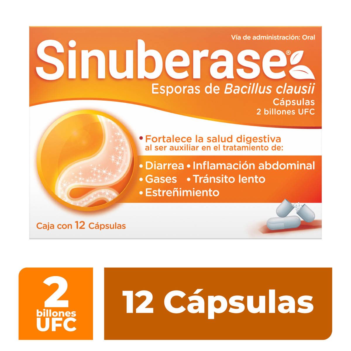 Sinuberase. Ayuda a aliviar: Inflamaci&oacute;n, Gases y Estre&ntilde;imiento. 12 C&aacute;psulas 2B Probi&oacute;ticos. image number null