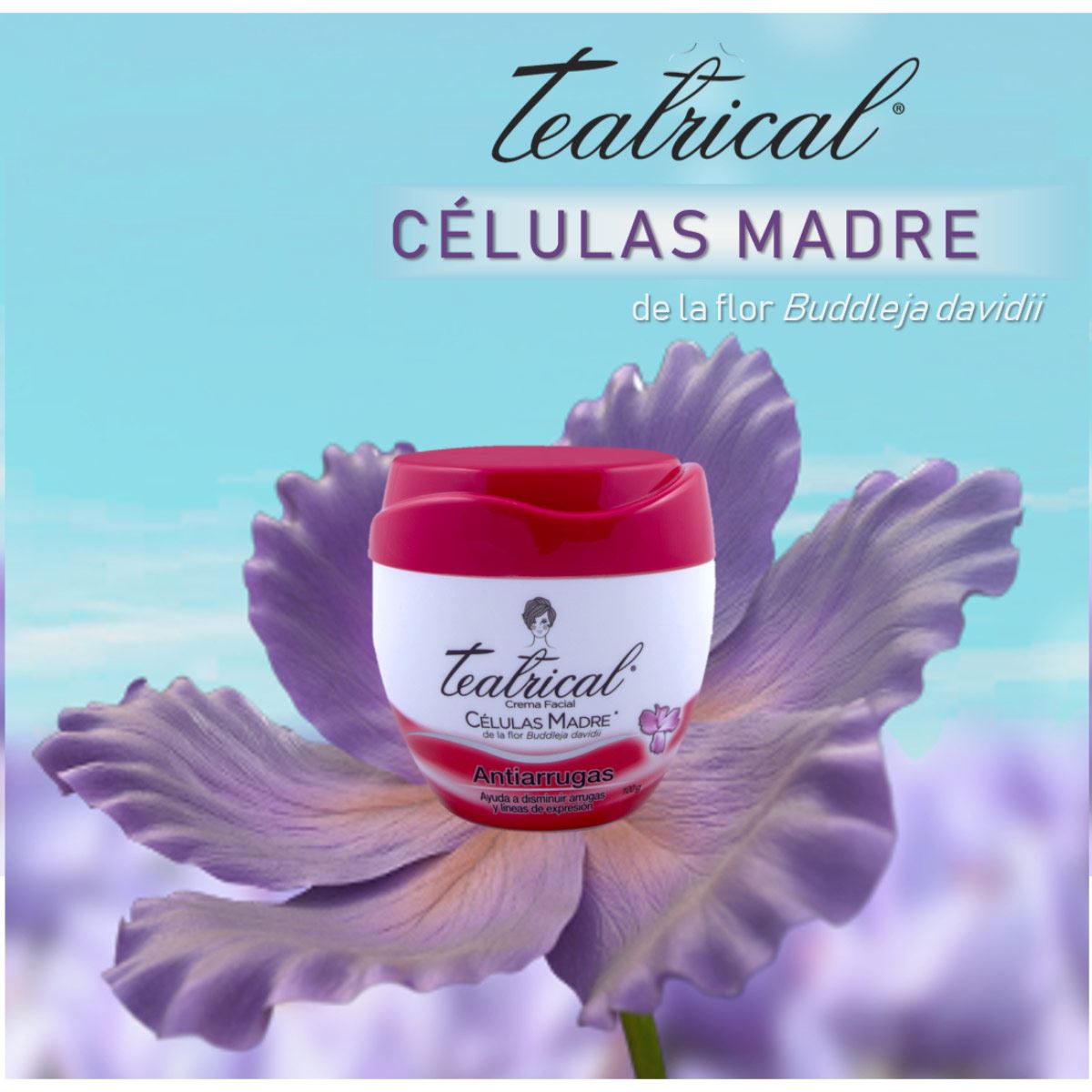 Teatrical Células Madre Antiarrugas 100gr image number null