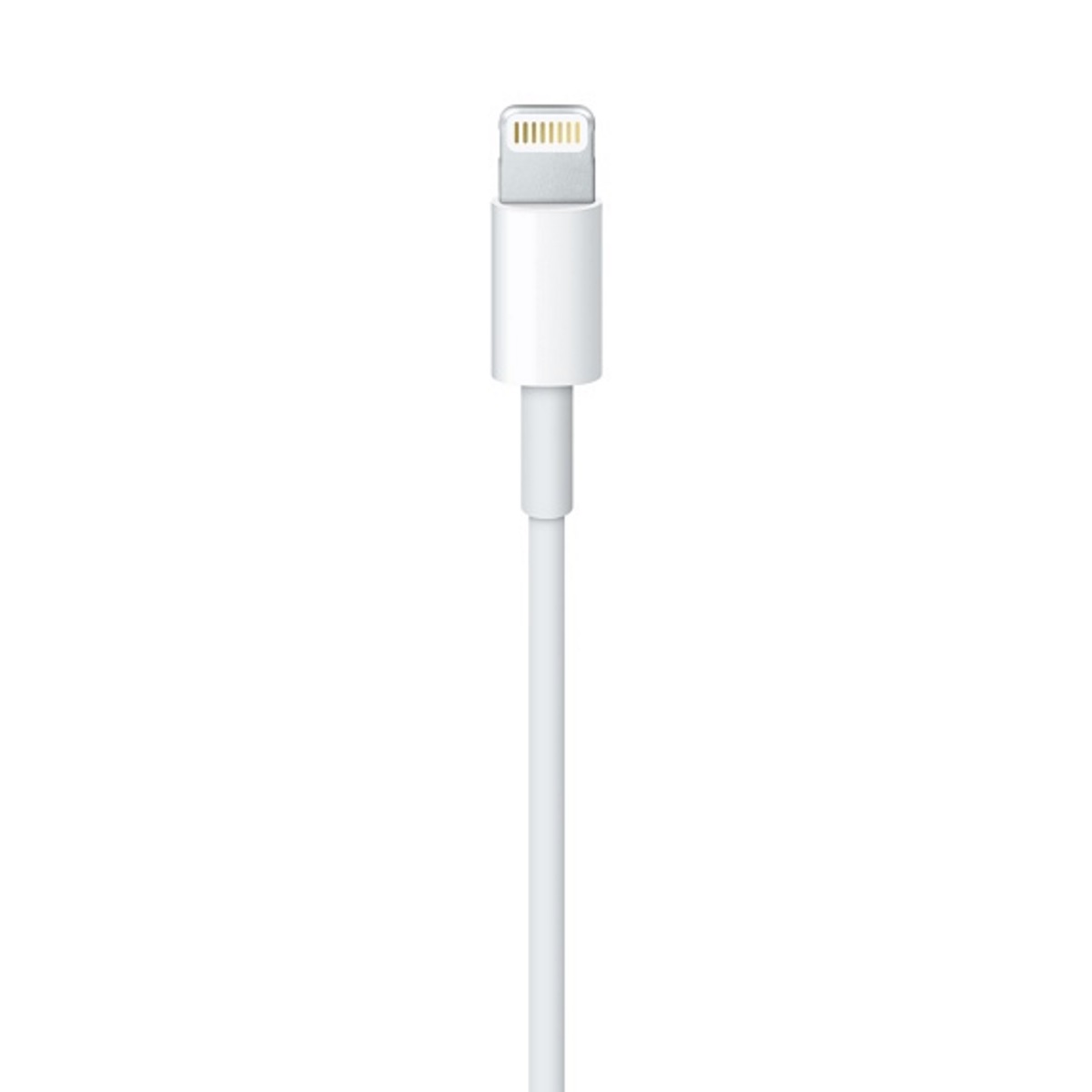 Cable Lightning a Usb 1M M -AME image number null