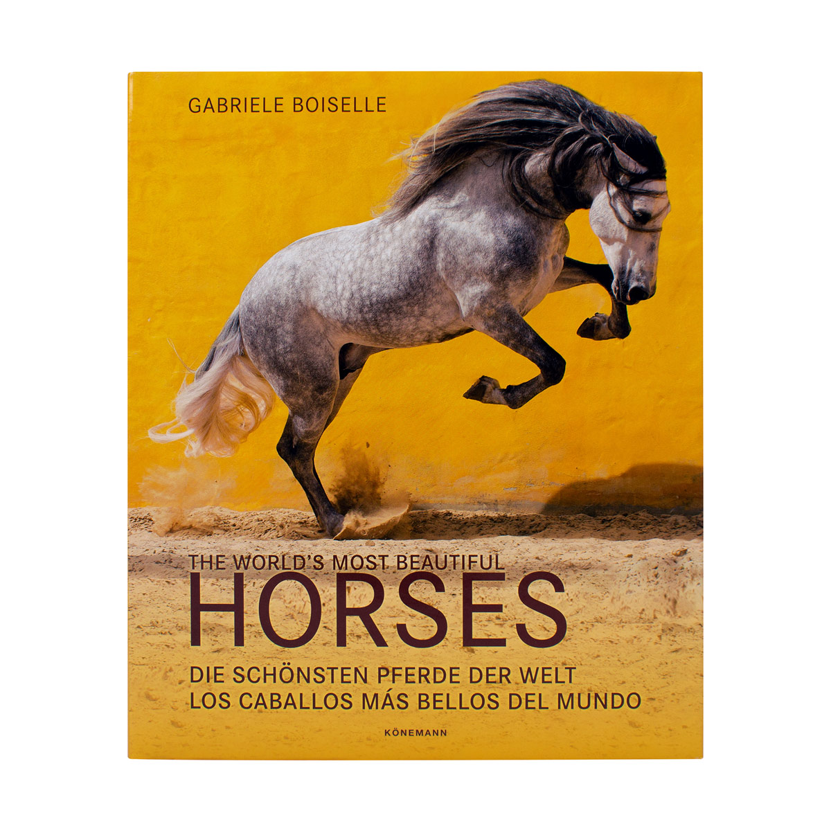 The World's Most Beautiful Horses image number null