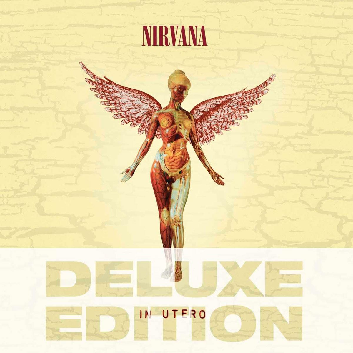 CD Nirvana In Utero-20th Anniversary image number null