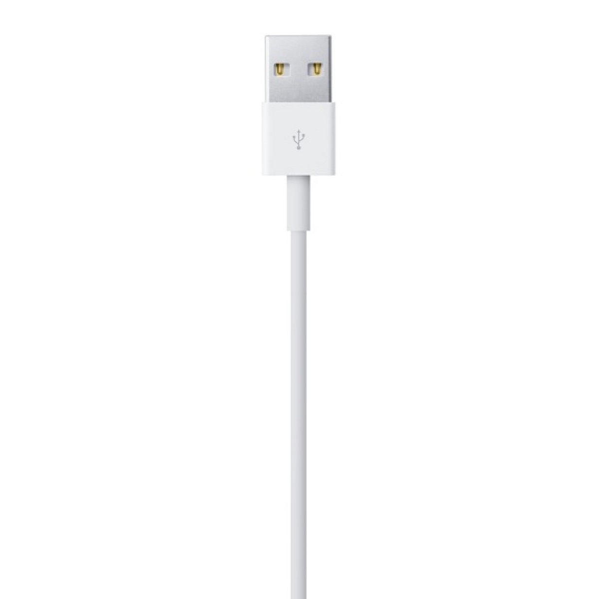 Cable Lightning a Usb 1M M -AME image number null