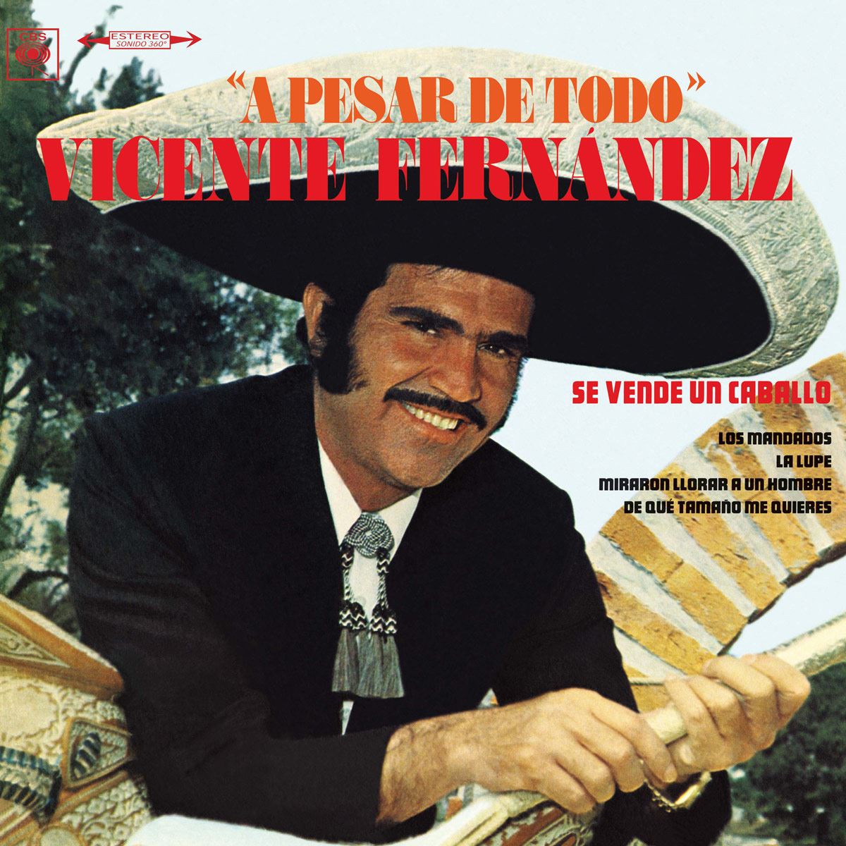 LP Vicente Fern&aacute;ndez - A pesar de todo image number null