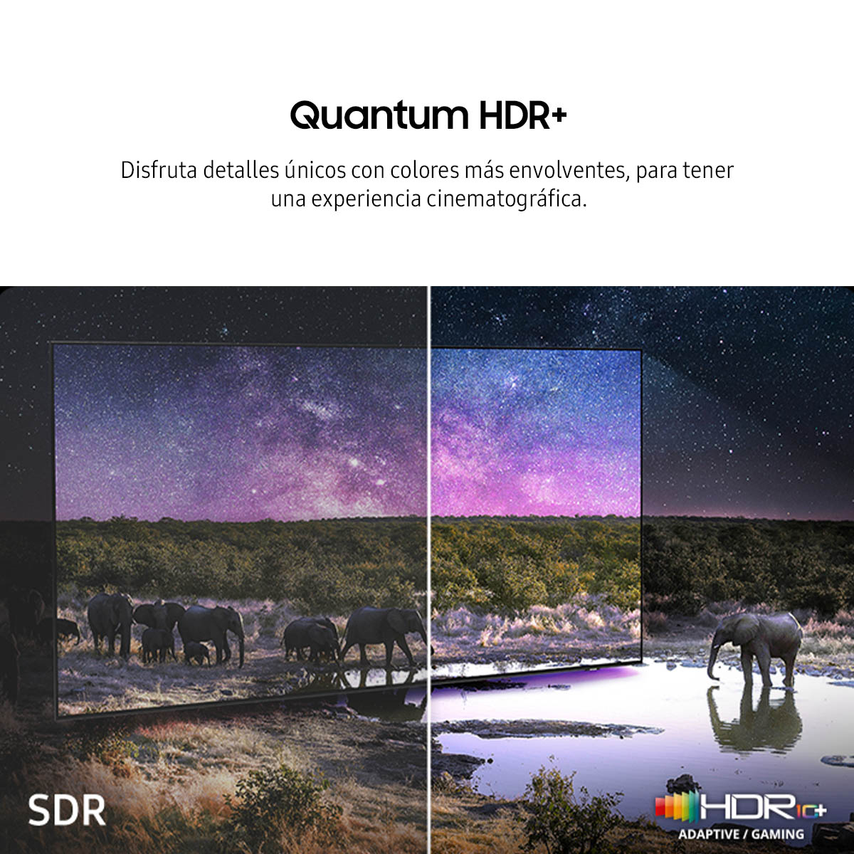 Pantalla Samsung 43 Pulgadas Neo QLED QN43QN90 image number null