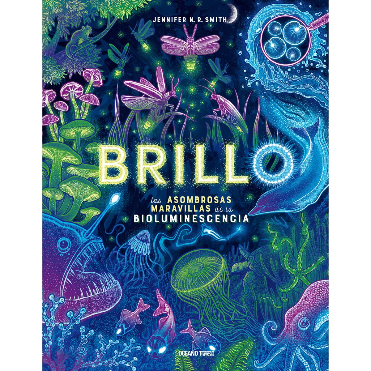 Brillo image number null