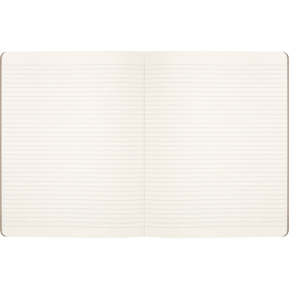 Set de 2 Libretas MOLESKINE Wingardium Leviosa Harry Potter image number null