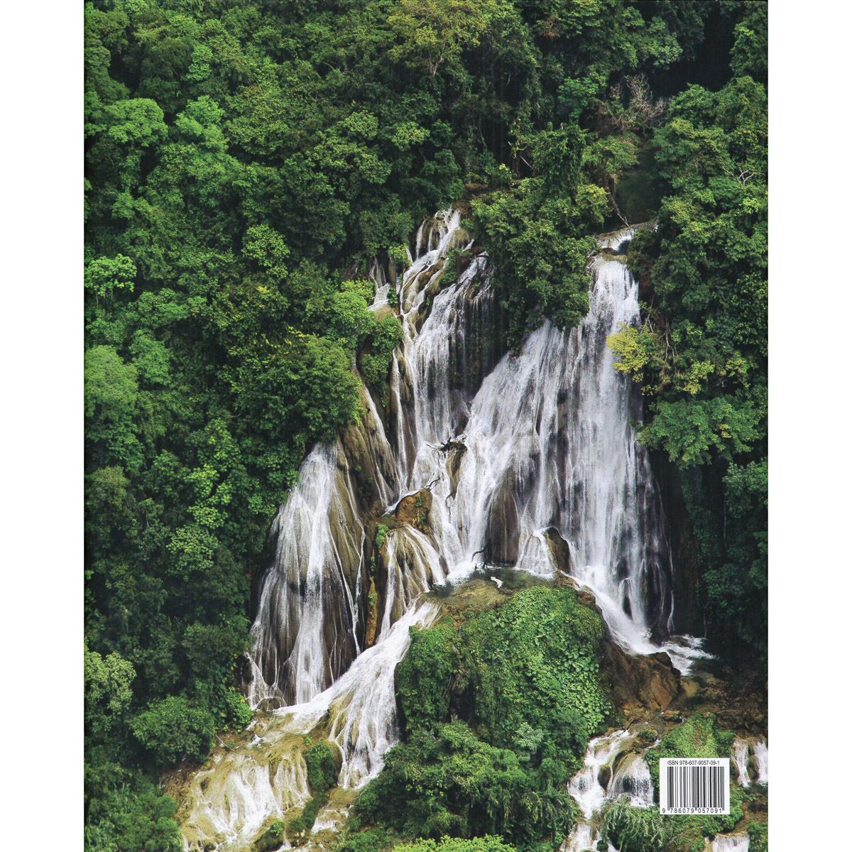 Conservacion de la Naturaleza image number null