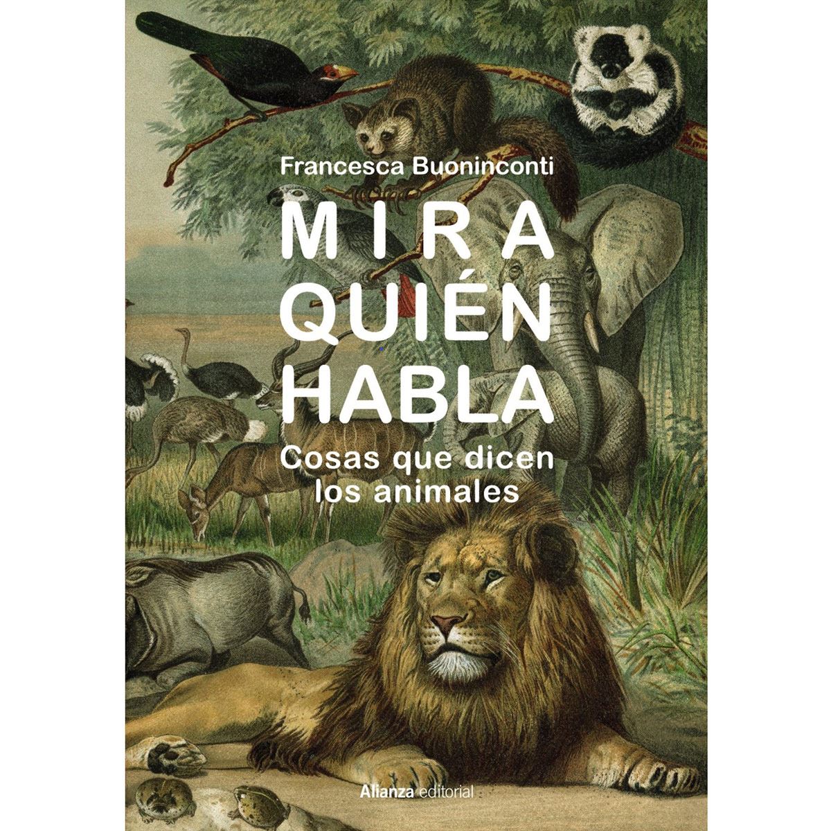 Mira qui&eacute;n habla image number null