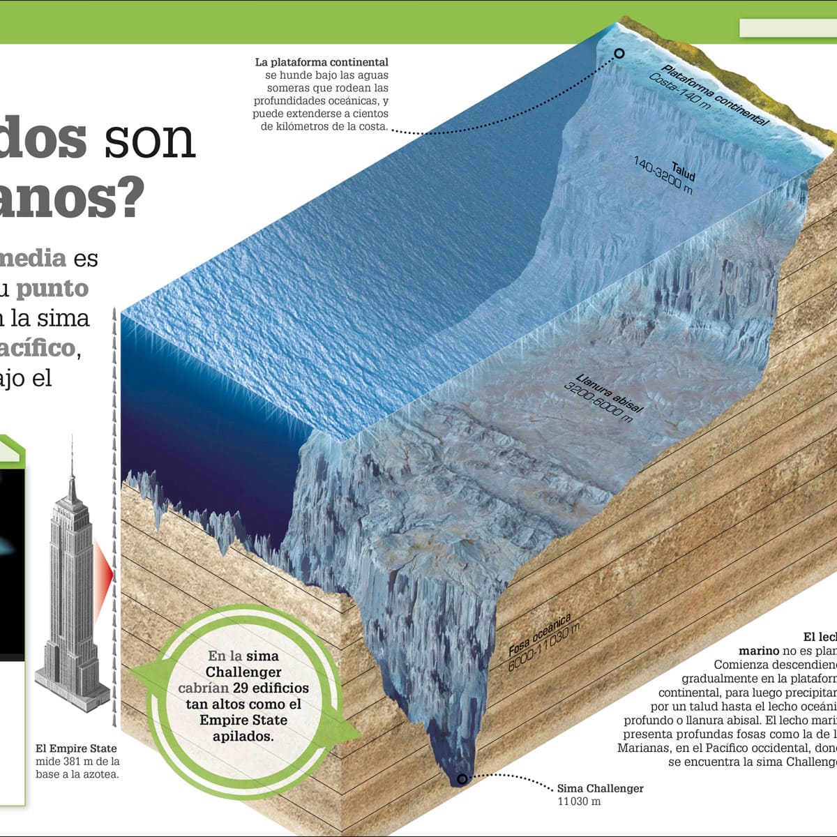 ¡Increíble pero cierto!. Nueva edición image number null