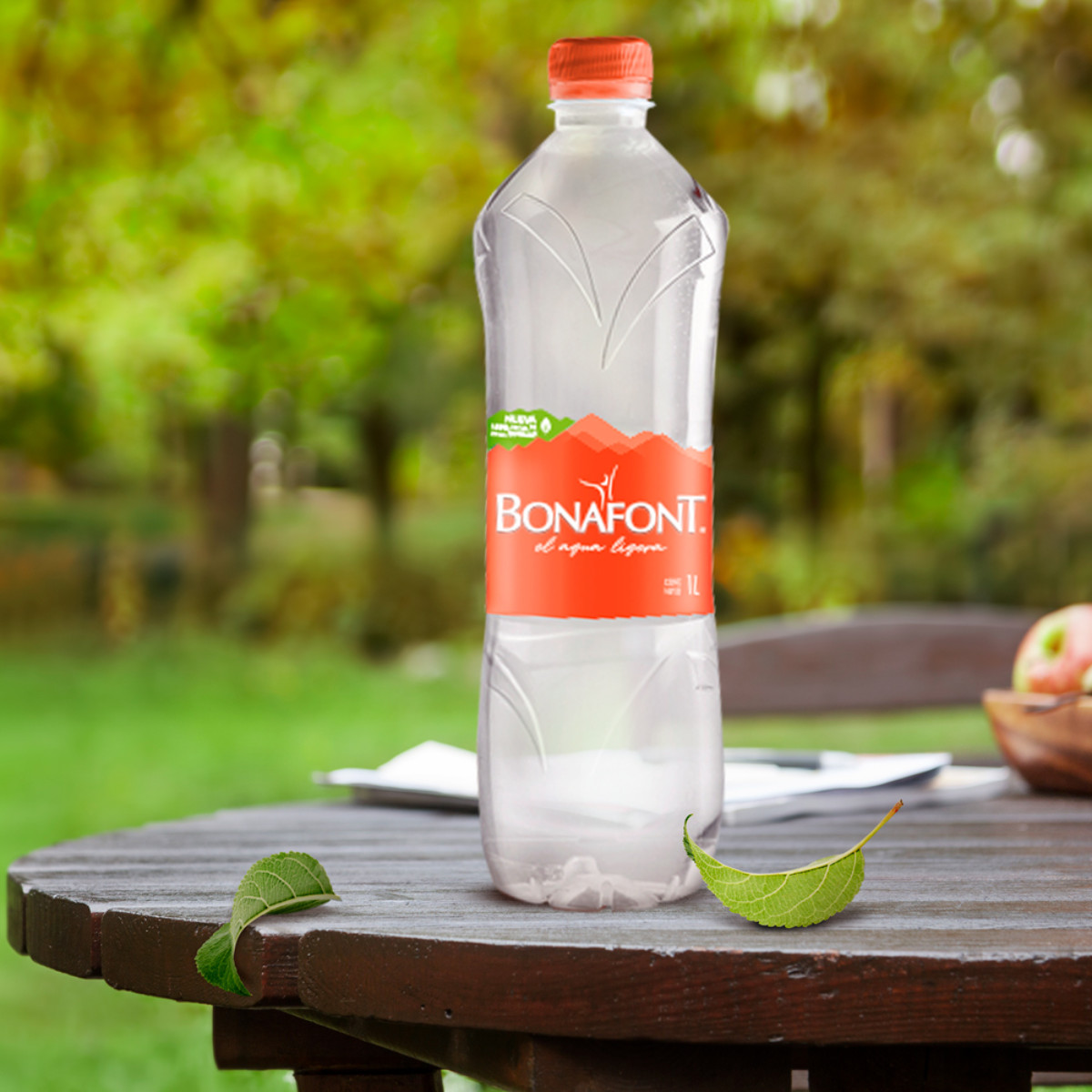 Agua Bonafont 1 lt image number null