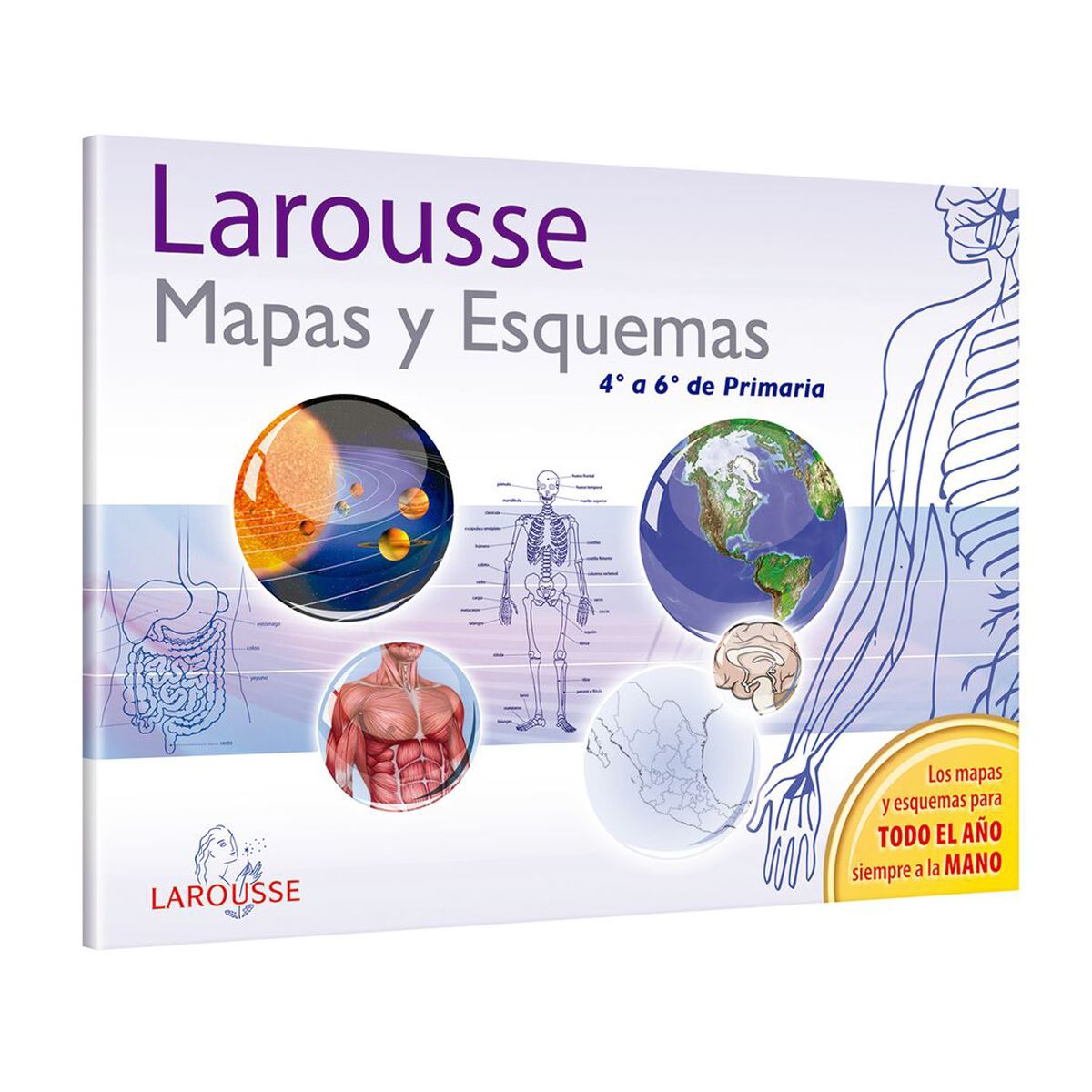 Mapas y Esquemas 4 a 6 de primaria image number null
