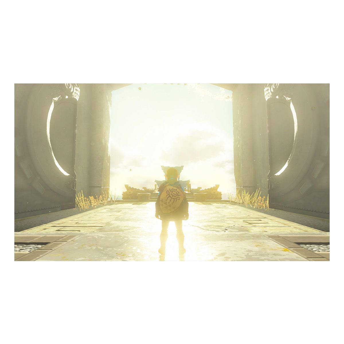 The Legend Of Zelda Tears Of The Kingdom - Nintendo Switch image number null