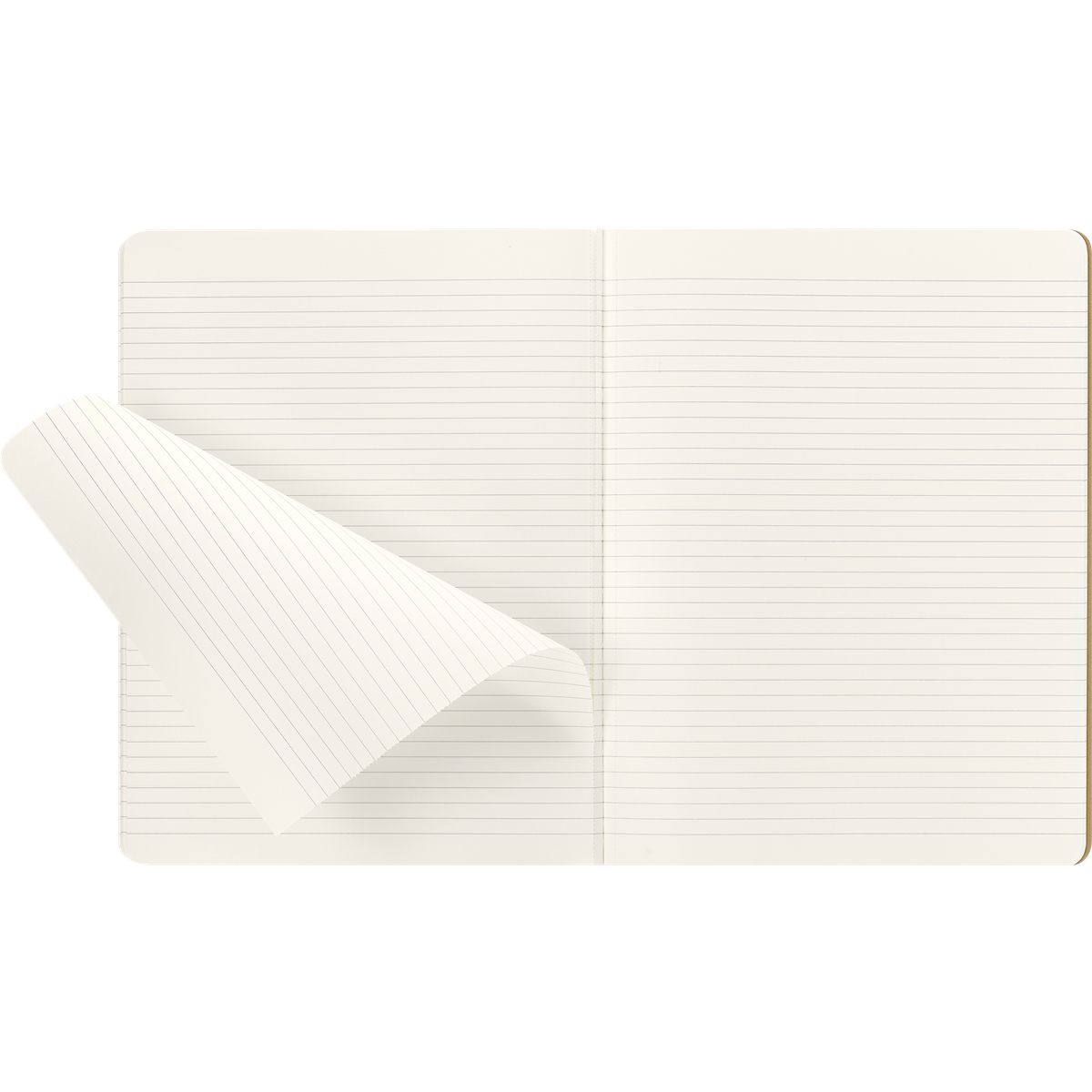 Set de 2 Libretas MOLESKINE Wingardium Leviosa Harry Potter image number null