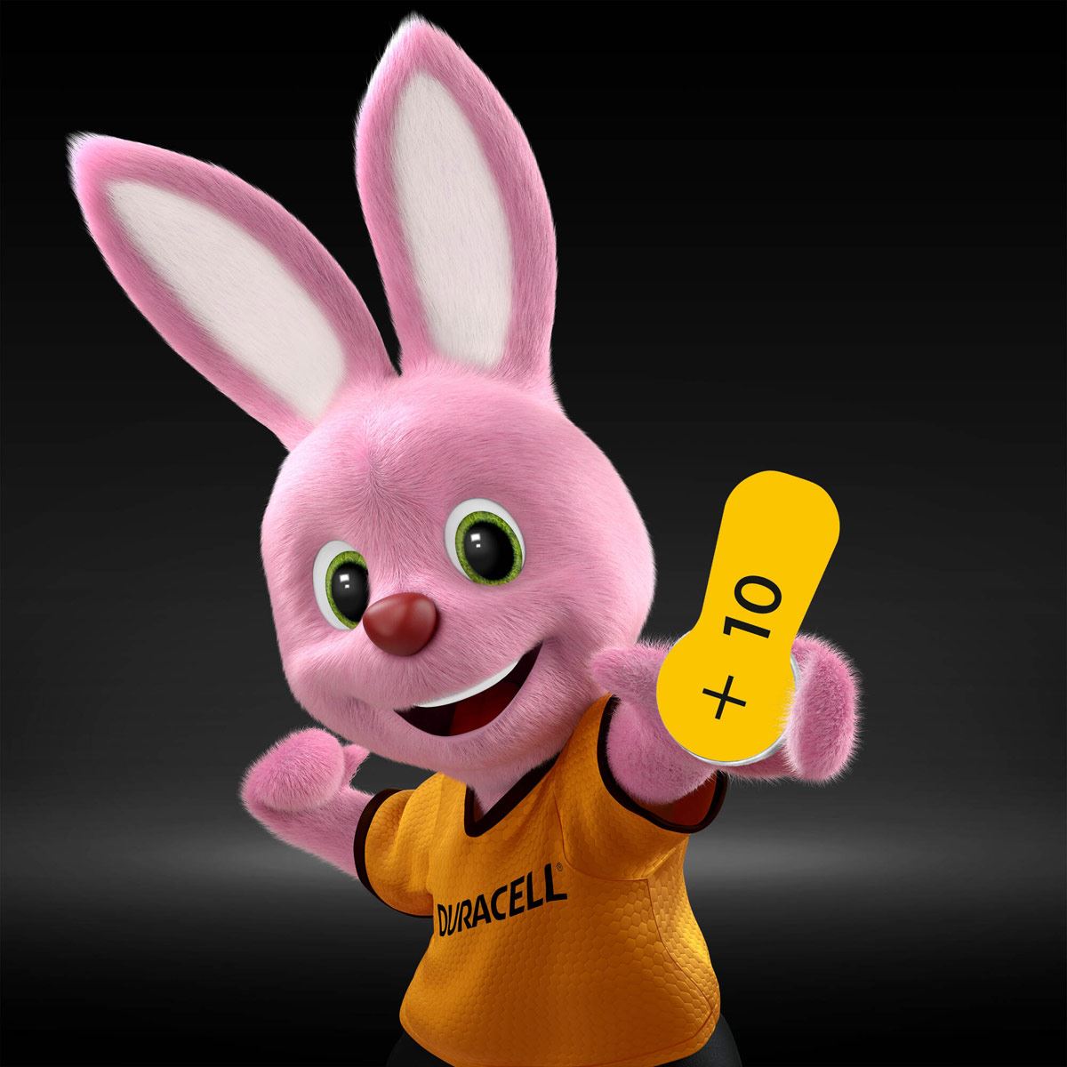 Pila Duracell Auditiva 10 C/6 image number null
