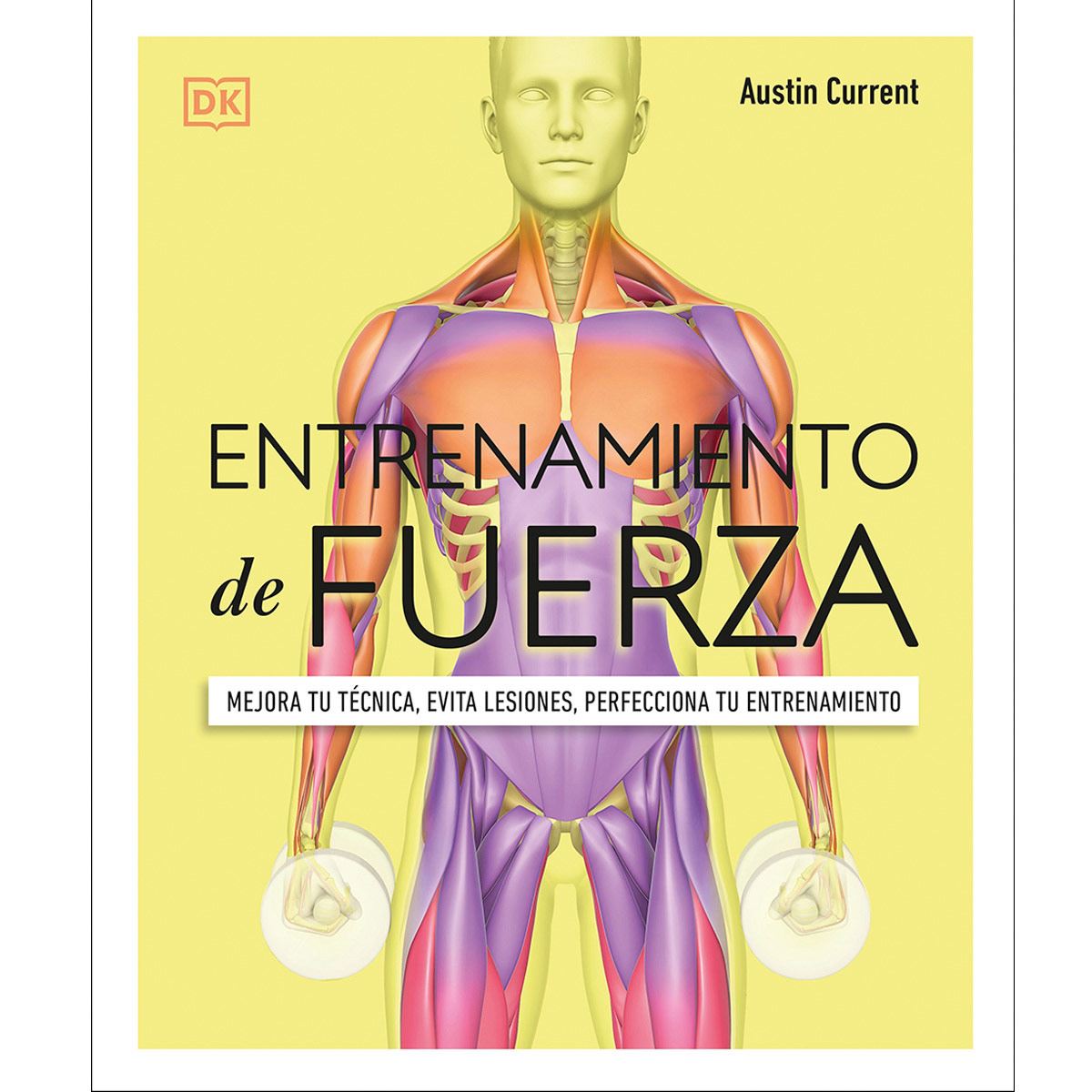 Entrenamiento de Fuerza image number null