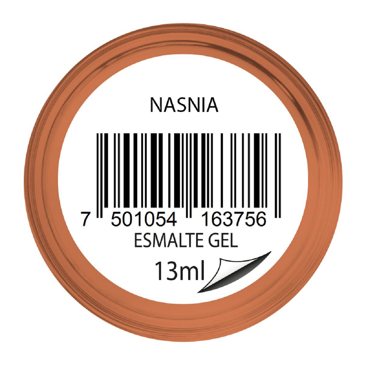 Esmalte Color Gel Nasnia Renova image number null